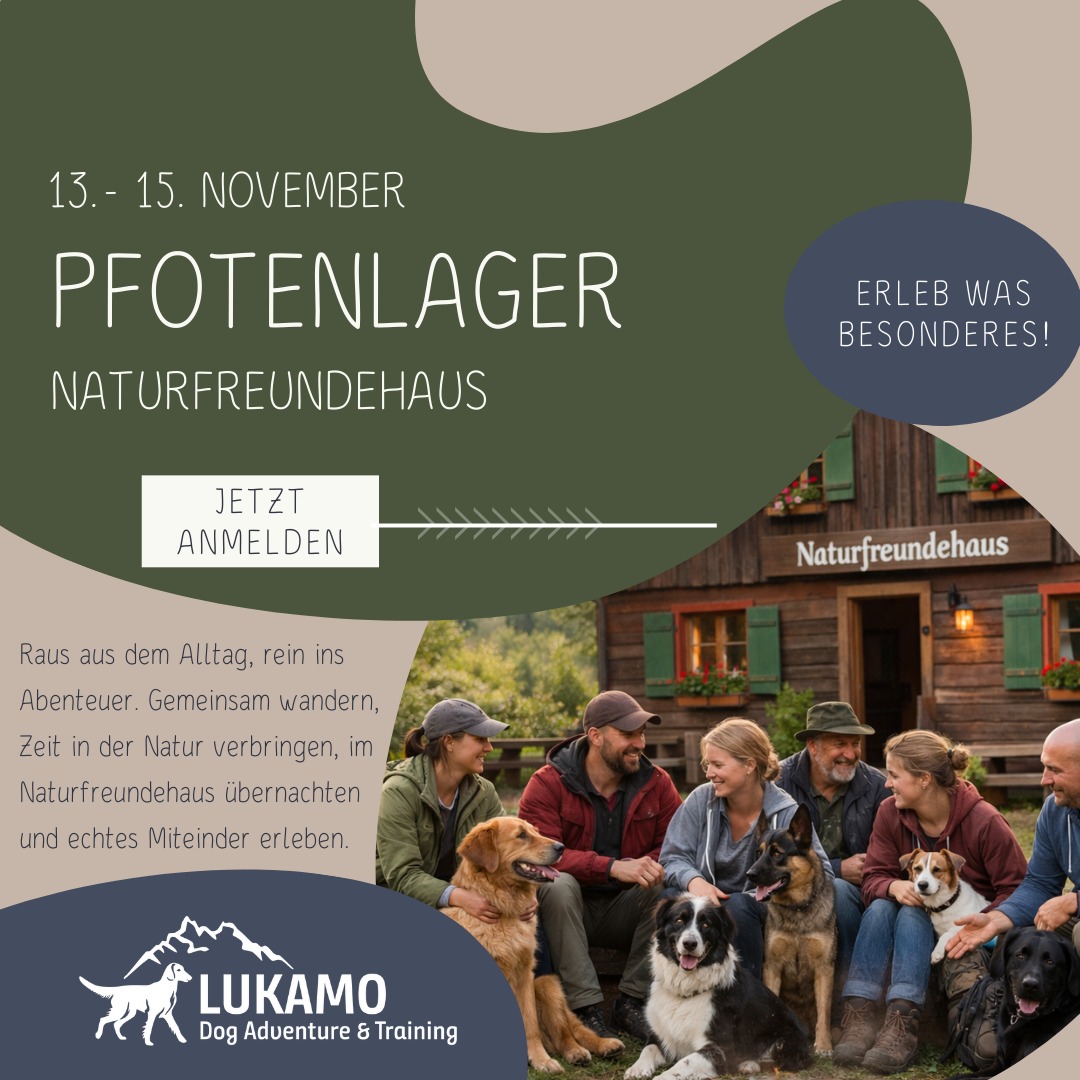 LuKaMo Flyer DogDancing