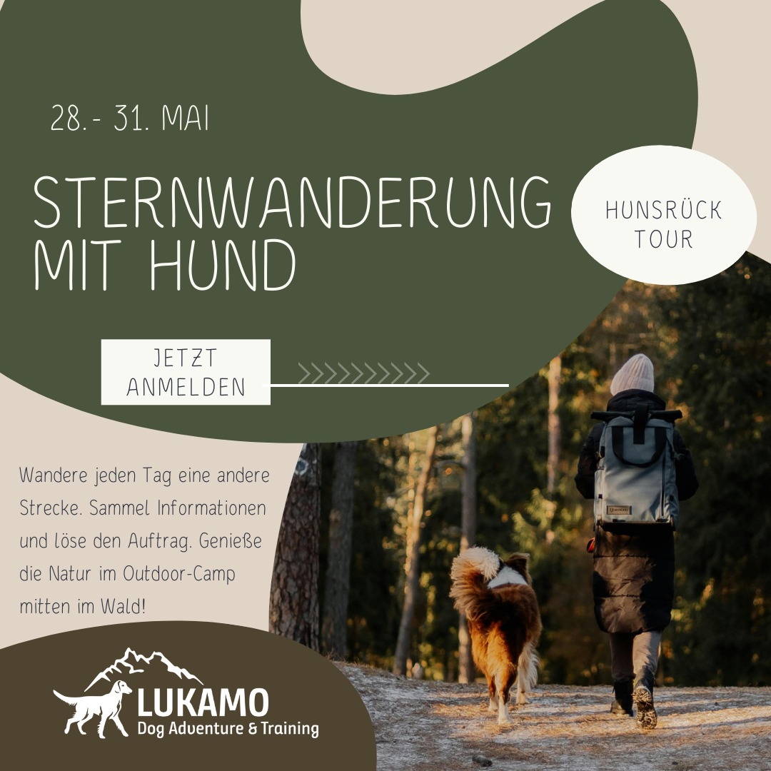 LuKaMo Flyer DogDancing