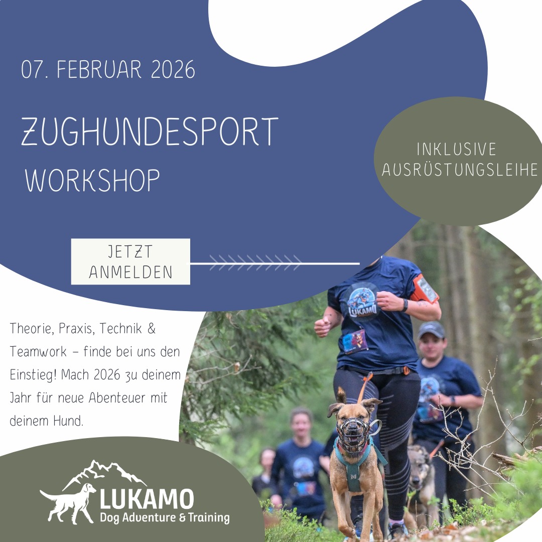 LuKaMo Flyer DogDancing